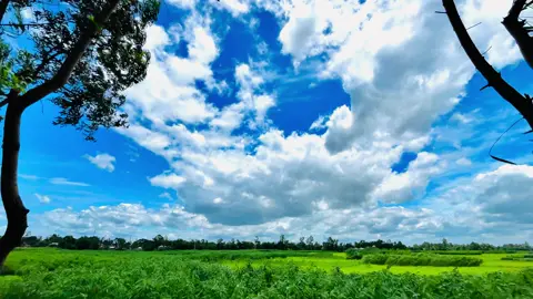 নেশা তো নাম মাএ মানুষের অভাবেই মানুষ ক্ষতিগ্রস্ত হয়ে যায়...!!😅💔#Foryou #vairal_video #fypppppppppppppppppppppp 