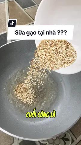 Làm sữa gạo tại nhà được hay không ???#tiepcoi 