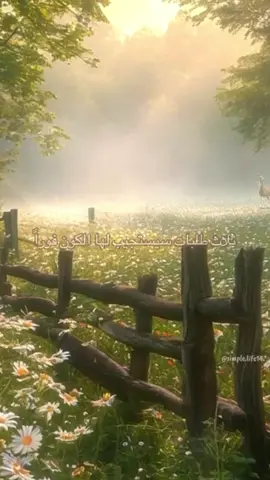 هل تعلموا اقوى الادوات اللي سخرها خالقنا لنا  اقرؤوا الكابشن للاخير ⬇️⬇️⬇️⬇️ ترا كلنا نستخدمها  بوعي او بدون وعي وبشكل نافع وغالبا بشكل غير نافع لنا  انها قوة  السؤال   يمكن البعض يستغرب انه بالفيديو تقول الكون  مايهم هي تسأل براحتها وانتوا اسألوا براحتكم  انا اسأل خالقي  لذلك اي احد يعطيكم معلومة توقفوا عن اصدار الاحكام ومنع الخير عن انفسكم فلتروا المعلومة خذوا مايناسبكم منها واللي مايناسبكم ارم:/-وه بالبحر  صح  والتجربة خير برهان  تذكر ماترسله يعود اليك  #timeline #time #timelapse #timeless #timetravel     ‏         ‏    ‏ ⁩ ⁩