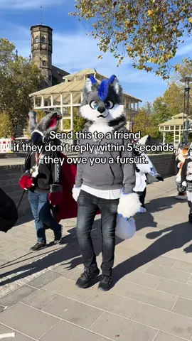 Rules are rules :3 Tags: #furry #furryfandom #fursona #furries #fursuit #furrycommunity #oc #cute #furryoc #anthro #fursuiter #furrypride #originalcharacter #fursuiting #furrys #fur #furriesoftiktok #furriesoinstagram #furriesofinstagram #meme #memes #furrymemes #furrymemes #fursuitfriday 