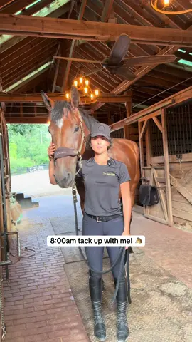 cuteness aggression so bad 😂 #horse #equestrian #foryoupage #horsegirl #viralvideosofficial #horselife #horses #fyppppppppppppppppppppppp #giant4yearold #equestrianlife #horseshow #horsesontiktok #horsetok #viral #fypシ #fypdongggggggg 