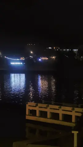 #tinhngheo #xhtiktok  🎼🎼🎼🎼🎼