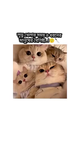 এখানে তুমি কোনটা..?🐸🙌🏻🫠 । . । . #funny #relatable #forypupage #BDCreator #TikTokBangladesh 