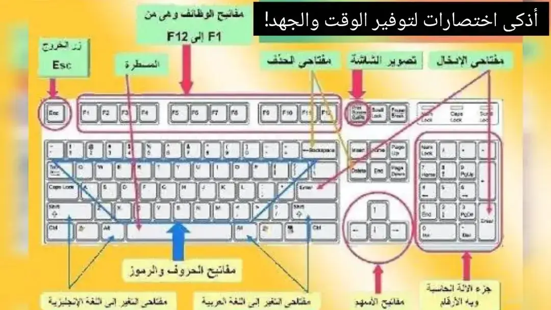 أذكى اختصارات لتوفير الوقت والجهد! هذه القائمة الذهبية ستجعل كتابتك أسرع وتنظيمك أفضل! 💼✨ 📝 أساسيات لا غنى عنها: 🔹 Ctrl + N ➤ مستند جديد 🔹 Ctrl + S ➤ حفظ سريع 🔹 Ctrl + P ➤ الطباعة فورًا 🔹 Ctrl + Z / Y ➤ التراجع أو الإعادة 🔹 Ctrl + X / C / V ➤ قص، نسخ، لصق 🔍 للبحث والتحكم: 🔹 Ctrl + F ➤ البحث عن كلمة 🔹 Ctrl + H ➤ استبدال النص 🔹 Ctrl + A ➤ تحديد الكل 🧭 تنقل سريع داخل الملف: 🔹 Ctrl + Home / End ➤ بداية أو نهاية المستند 🔹 Ctrl + → / ← ➤ التنقل بين الكلمات 🔹 Ctrl + Delete ➤ حذف الكلمة التالية 🎨 تنسيقات احترافية: 🔹 Ctrl + B / I / U ➤ غامق، مائل، تسطير 🔹 Ctrl + E / L / R ➤ محاذاة (وسط، يسار، يمين) 🔹 Ctrl + [ / ] ➤ تغيير حجم الخط 🔹 Ctrl + = ➤ نص منخفض 🔹 Ctrl + Shift + + ➤ نص مرتفع 📅 مزايا ذكية: 🔹 Alt + Shift + D ➤ إدراج التاريخ 🔹 Alt + Shift + T ➤ إدراج الوقت 🔹 Ctrl + Enter ➤ فاصل صفحة 🔹 Shift + Enter ➤ فاصل سطر 📋 نسخ ولصق التنسيق: 🔹 Ctrl + Shift + C / V ➤ نسخ ولصق التنسيق 📊 للجداول: 🔹 Tab / Shift + Tab ➤ تنقّل بين الخلايا 🔹 Alt + Shift + ↑ / ↓ ➤ تحريك الصف 🔎 نصيحة خفية: Ctrl + Shift + 8 ➤ لعرض رموز التنسيق المخفية… مفيدة جدًا لحل مشاكل التنسيق! --- #اختصارات_الوورد #نصائح_الويندوز #كتابة_احترافية #تعلم_سريع #WordTips #ويندوز11 #مهارات_حاسوبية #تكنولوجيا