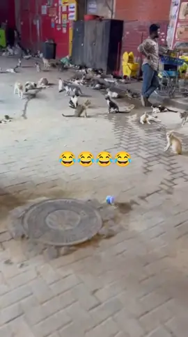 😂😂😂😂