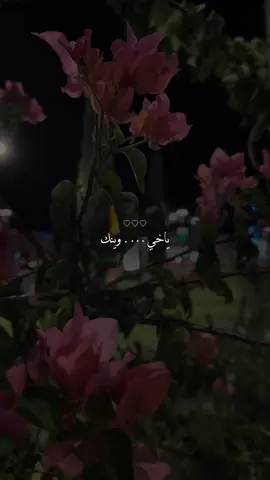 مابي اعيش الحياة الا معك 😔♥️ @