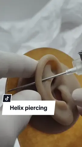 Helix piercing #helixpiercing #piercing #piercings #piercingcheck #piercingstudio #piercinglovers #piercingsoftiktok #piercingtok #vairl #fyp 