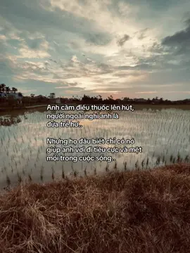 #huyanh #tamtrang #xuhuong #viral 