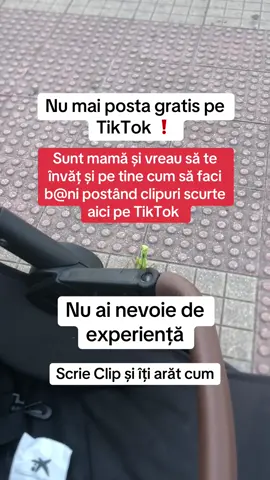 #romanidinitalia #romanidingermania #femeieputernică #foryoupage❤️❤️ #libertatefinanciara 
