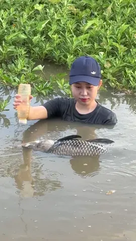 Amazing Fish Trapping Skills 