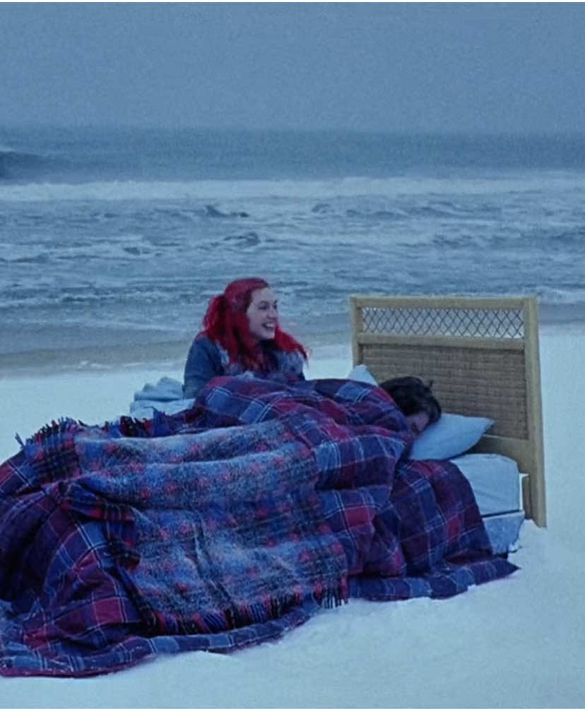 found this + la la land on dvd yesterday so yes i bought em! 😛#eternalsunshineofthespotlessmind #jimcarrey #katewinslet  #currentjoys #edit #fyp #foryou 