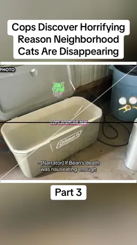 Cops Discover Horrifying Reason Neighborhood Cats Are Disappearing Part 3 #cops #copsoftiktok #crime #truecrime #policeofficer #fypシ゚viral 