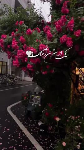 #fypシ゚viral #farsi #lyrics #persian #غمگین  بیگانه نیستی که بگویم بیا بیا… بفرست برایش🕊️