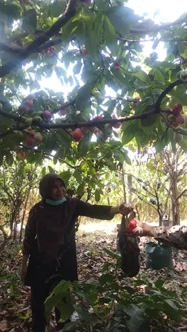 #Kedai PengANGGURan Baitun Naja fyp#Liburan 