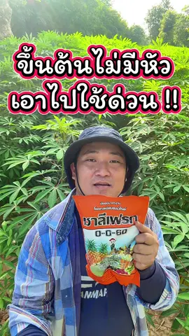 ชาลีเฟรท #อีสานยโส #ปุ๋ยชาลีเฟรท #ปุ๋ย0060 #ปุ๋ยเกล็ด #ปุ๋ยทางใบ #ชาลีเฟรท0060 