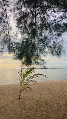 #salpriadi#kitausahakanrumahitu#lewatberanda#sunset#pantai#bucin 