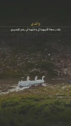 وجزاهما عني خير الجزاء .. ووالديكم يارب 🤲🤍