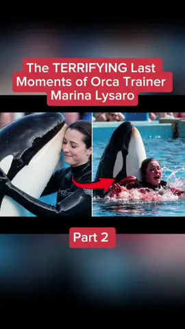 The #TERRIFYING Last Moments of #Orca #Trainer #Maris #ellington 