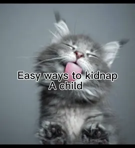 Easy way to kidnap a kid