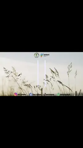 Kegiatan rutin tadarus Al-quran bertempat di Aula UPTD Puskesmas Lumpue hari Kamis, 08 Agustus 2025. Semoga kegiatan ini bernilai ibadah, menambah pahala dan ridho dari Allah Swt 