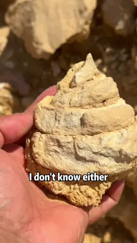 What kind of stone is this? #popular 