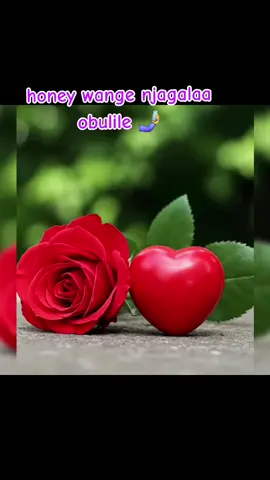 #fouryou #Love #fpyシ #fpy #goviral #vairalvideo #fypシ゚ #🥰🥰🥰🥰 #vairal_video #fypp #🥰🥰🥰🥰❤️❤️❤️ ##fyppppppppppppppppppppppp #trendingvideo 
