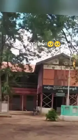 တို့ပေါက်သူ ပေါက်သားတေ လွမ်းကျစမ်းကွာ🥺🥺🥺🥺