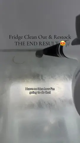 This steam cleaner is honestly my  BFF. She saves me so much time. #steamcleaning #cleanwithme #steamcleaner 