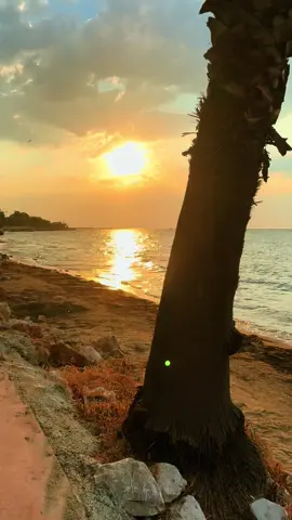 #yalova77 #يلوا_تركيا #istanbul🇹🇷🇹🇷 #يلوا #اكسبلورexplore❥🕊 #الشعب_الصيني_ماله_حل😂😂 #تركيا🇹🇷اسطنبول🎧😌🖇💃🏻 #تصويري📸اكسبلوور #يلوا🌹 