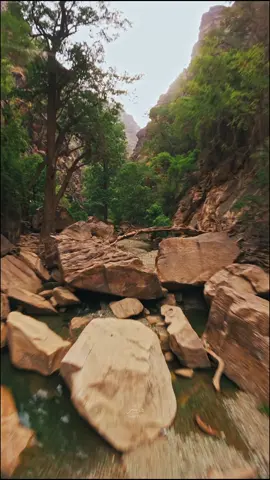وادي لجب من أجمل الأماكن اللي زرتها شعور رهيب ظل وماء وهواء منعش وأصوات طبيعة تخليك تعيش لحظة استرخاء حقيقية أنصح بزيارته بكل قوة #جازان #وادي_لجب 