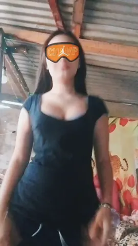 🪵🪵🪵