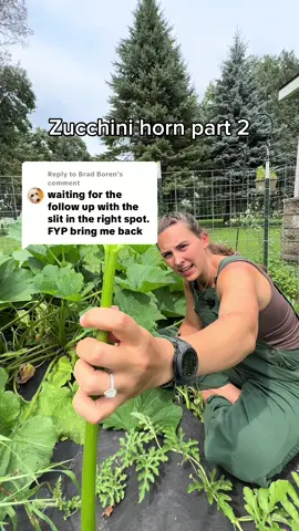 Replying to @Brad Boren  success  #zucchinihorn #garden #gardenhack 