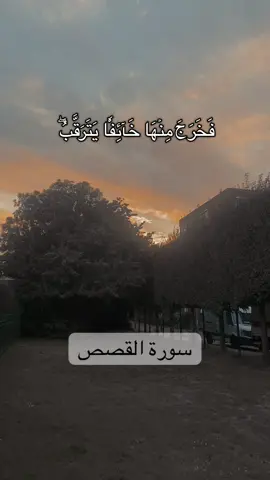 #فخرج_منها_خائفا_يترقب #سورة_القصص #ريان_المحيسني #islamic_video #islamic #fyp #fouryou #videoviral 