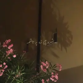 Another request done ✅  #vocals #nomusic #peaceful #pashtosong #vibe 