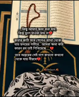.…..কিছু আঘাত ক্ষমা করা যায়, কিন্তু ভুলে যাওয়া যায় না💔কথার কাটাঁ সরে গেলেও ব্যাথা থেকেযায় হৃদয়ের গভীরে,,, আমরা ক্ষমা করি..#islamic_video #100kfollowe