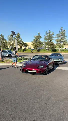 Yes we have 7 cars between the 2 of us. 🤣 @HER2JZ @7-ELEVEN @Hot Wheels #cartok #carsoftiktok #fyp #foryou 