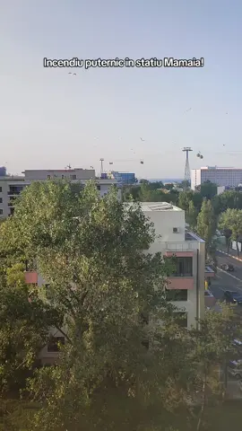 Incendiu Mamaia j
