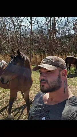 #fyp #afrikaanstiktoks #boer #boeren 