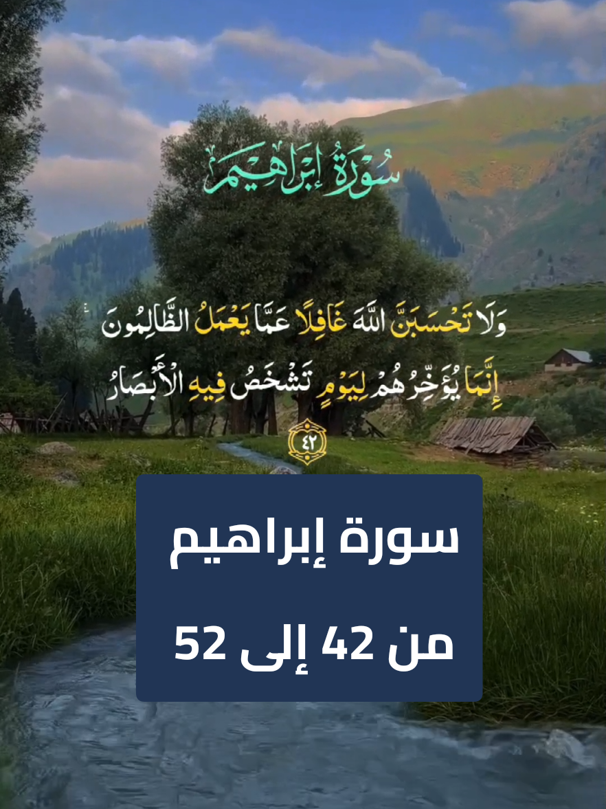 سورة ابراهيم من 42 إلى 52  #سورةإبراهيم #قرآن  #الله  #islamic 