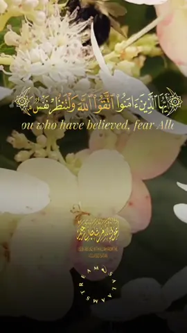 قرآن - سورة الحشر | #قران #قران_الكريم #quran #quransurah #islamictemplate