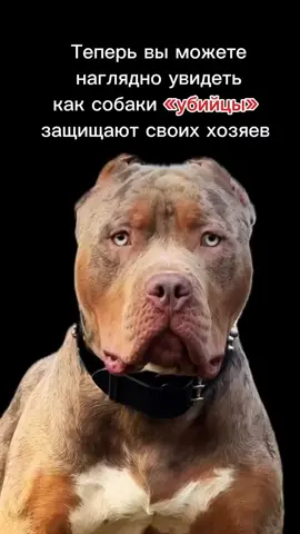 Наш TГ @no_comments_1984 #TikTok #fyp (For You Page) #длятвоейстраницы #вирусный #забавный #мемы #TikTok4fun #комедия #включименя #трендовый
