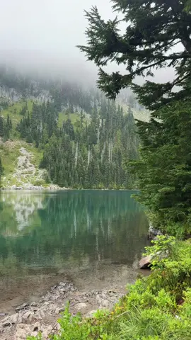 Where the world slows down wrapped in fog and quiet 🌲☁️