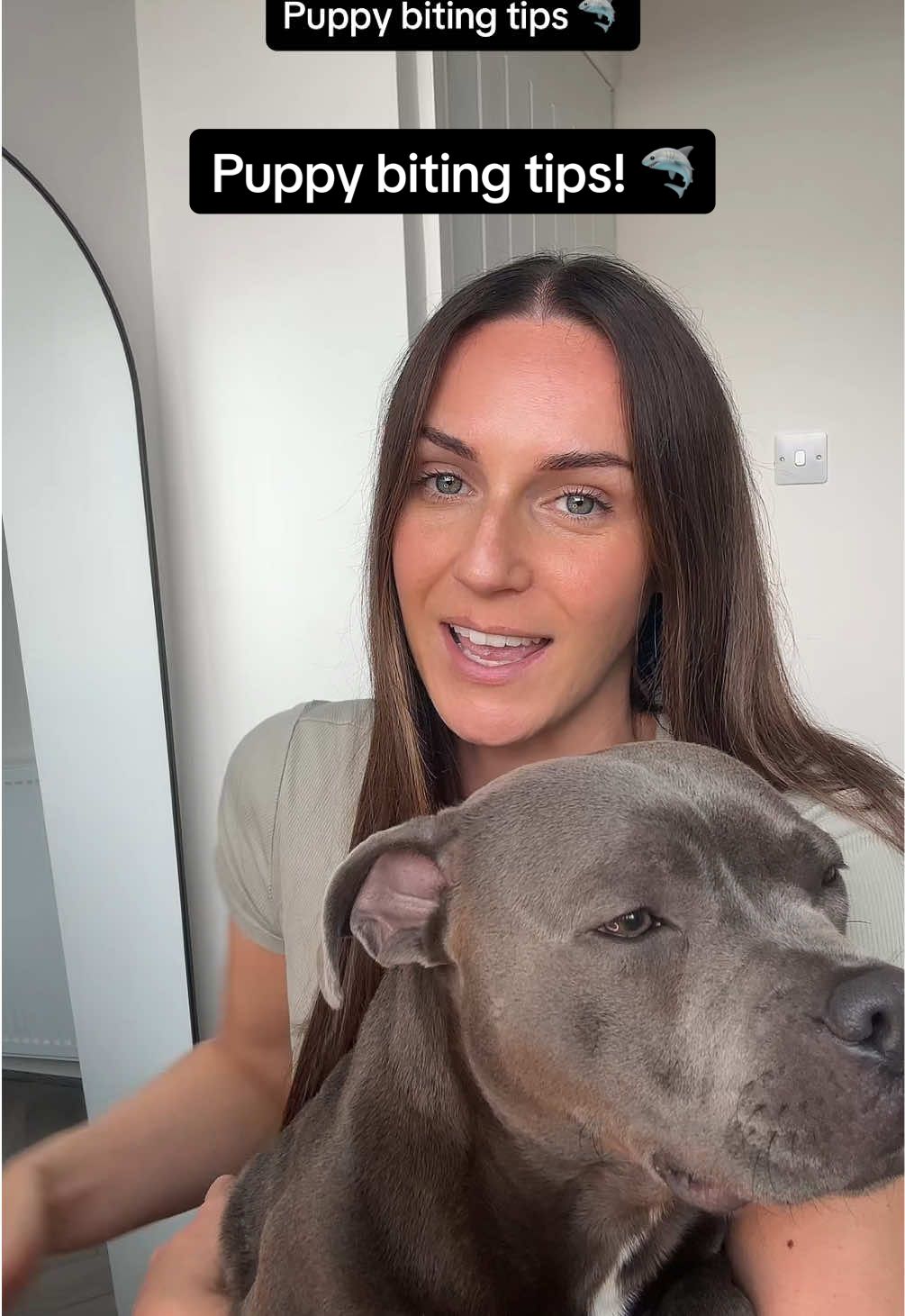 Our puppy biting tips! 🦈🐾 we are not professionals, this is just what worked for us. #fyp #staffy #puppytips #puppytraining #puppytrainingtips 