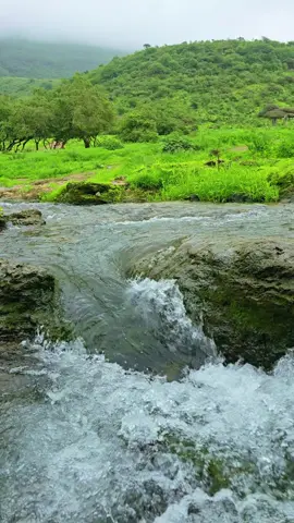 عين حمران #صلالة #عمان #اكسبلورexplore #اكسبلور 