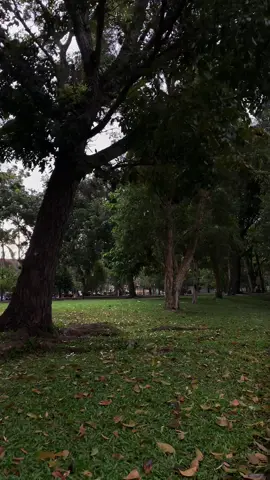 #alam #aesthetic #angin #taman #fypage #vibessad #vibes #fyp 