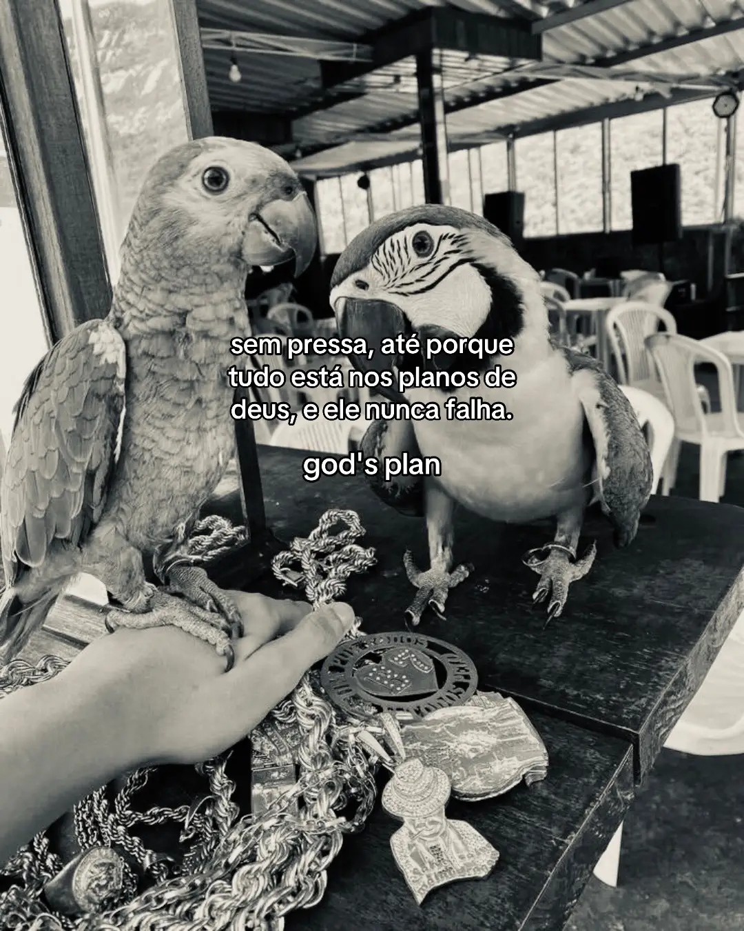 #fy 
