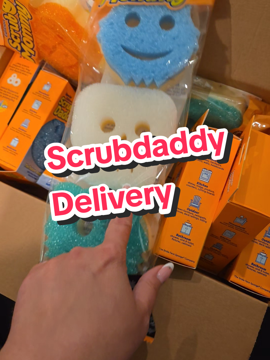 We're set for the seasons! #scrubdaddy #tiktokshopbacktoschool 