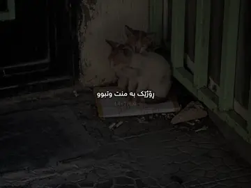 دەی من لە خۆت وەرگرەوە🌚؟؟#fypシ゚viral🖤tiktok #lavinn #fypシ゚viral #lavay_hama #viral?videotiktok😇😇 #fyyyyyyyyyyyyyyyyyyyyyyyyyyyyyyyyyyyyyy 