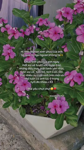 “Yêu em hơn mỗi ngày🥰❤️” #tinhyeu #suyymottchut #viral 