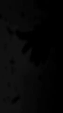 تجھے ملے مجھ سے بہتر  پر تجھے سکون نہ ملے ۔ #lostillusion997 #fypシ゚ #foryoupage #poetrylovers #fyppppppppppppppppppp #unfreezemyaccount👈 #growaccount 
